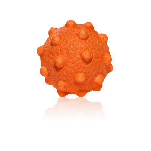 EXPLORER DOG AirBall Hroty 8 cm EXPLORER DOG AirBall Hroty 8 cm